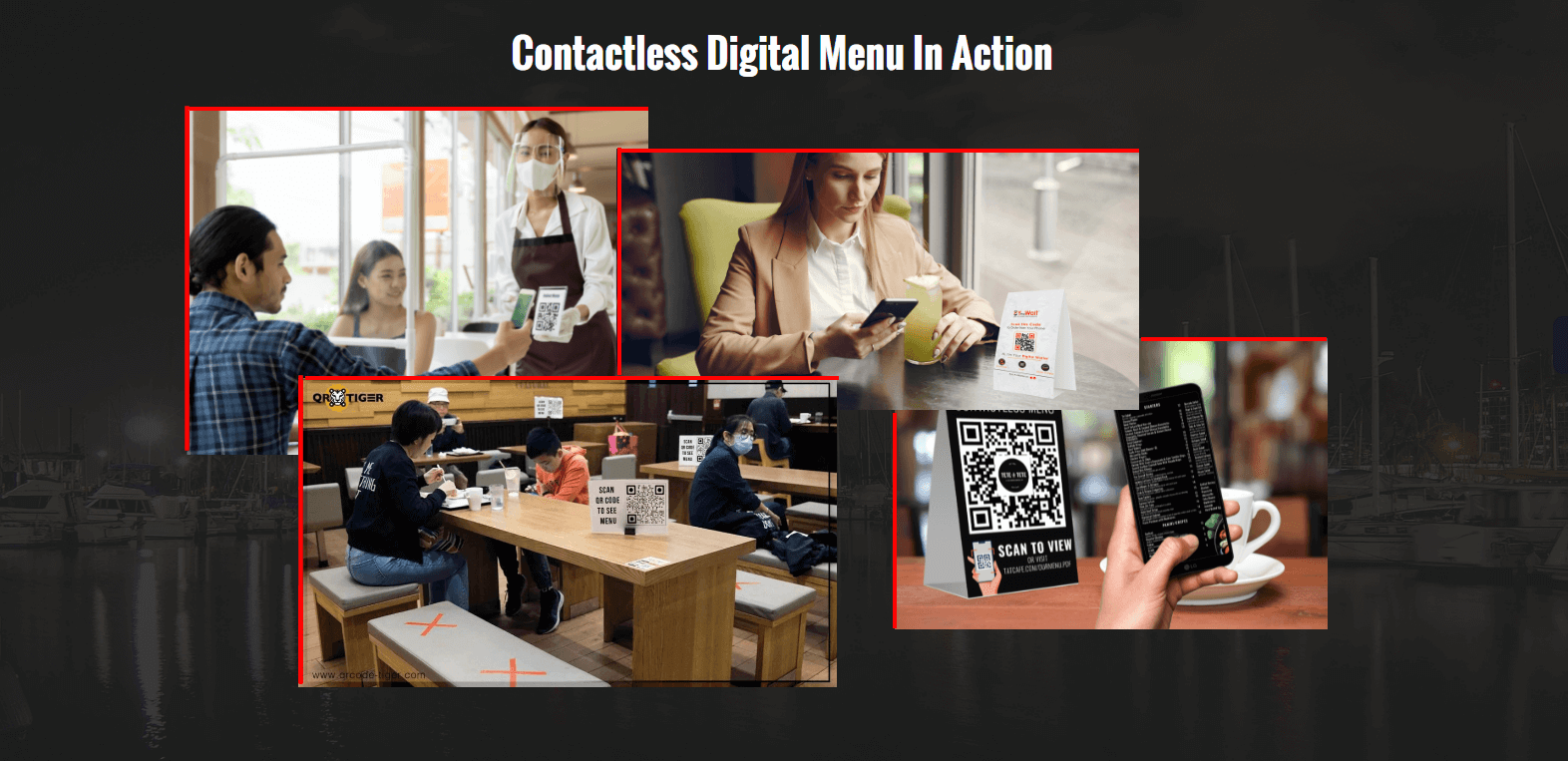 Image Title My Image